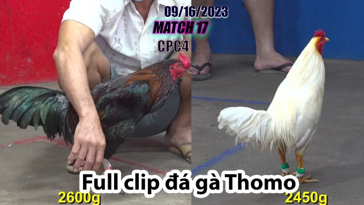 CPC4- TRẬN 17| đá gà Thomo | 09/16/2023