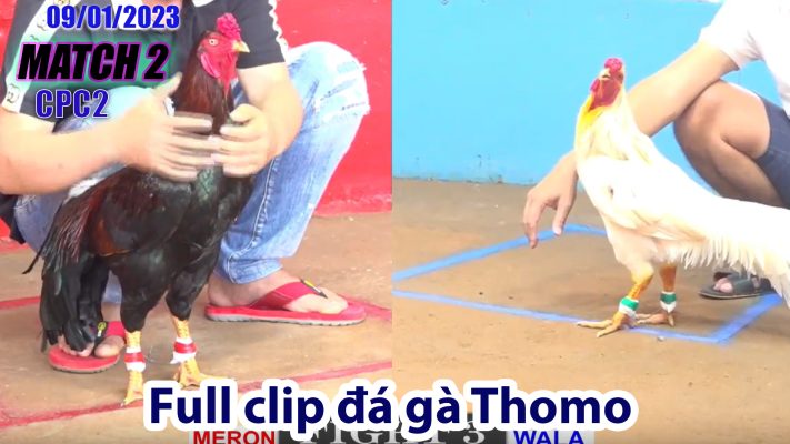 CPC2- TRẬN 2| đá gà Thomo | 09/01/2023