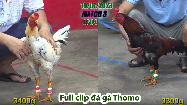 CPC4- TRẬN 3 | đá gà Thomo | 10/07/2023