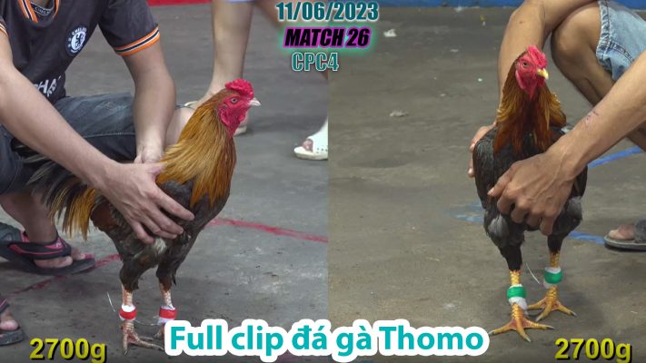 CPC4- TRẬN 26 | đá gà Thomo | 11/06/2023