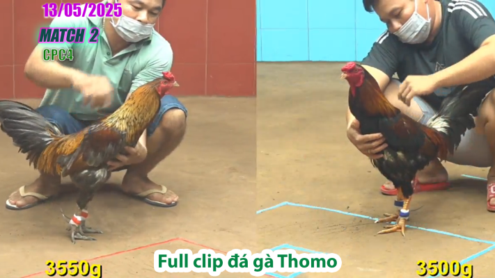 CPC4-TRẬN 2 | đá gà Thomo | 13/05/2025