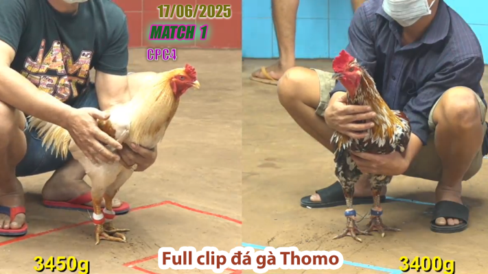 CPC4-TRẬN 1 | đá gà Thomo | 17/06/2025