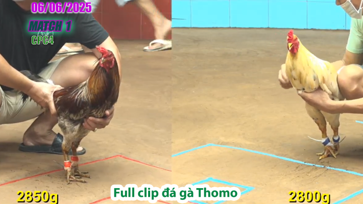 CPC4-TRẬN 1 | đá gà Thomo | 06/06/2025
