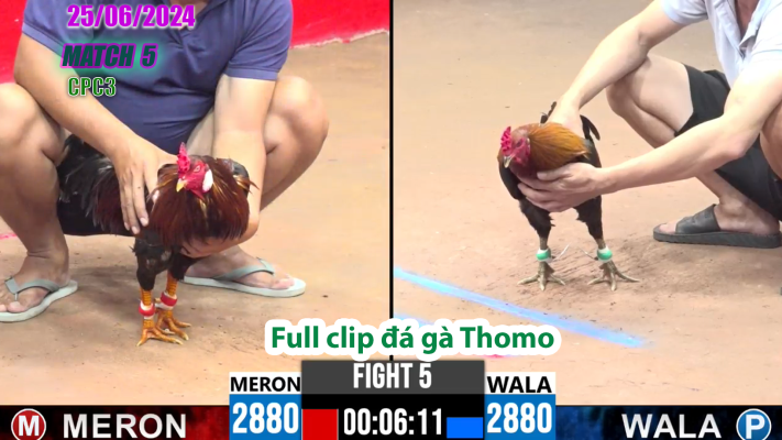 CPC3-TRẬN 5 | đá gà Thomo | 25/06/2025