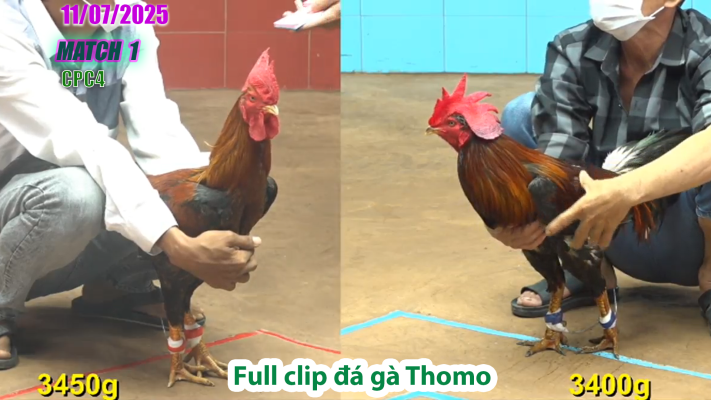 CPC4-TRẬN 1 | đá gà Thomo |11/07/2025