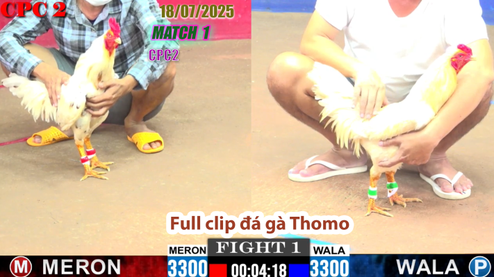 CPC2-TRẬN 1 | đá gà Thomo |18/07/2025