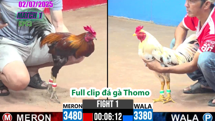 CPC3-TRẬN 1 | đá gà Thomo | 02/07/2025