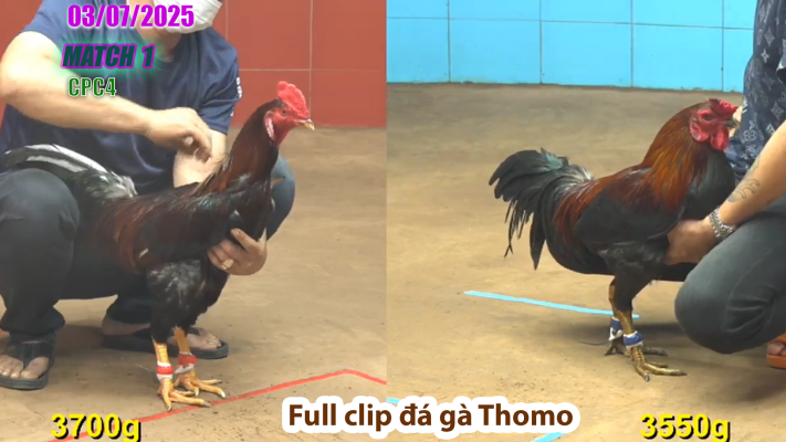 CPC4-TRẬN 1 | đá gà Thomo | 03/07/2025