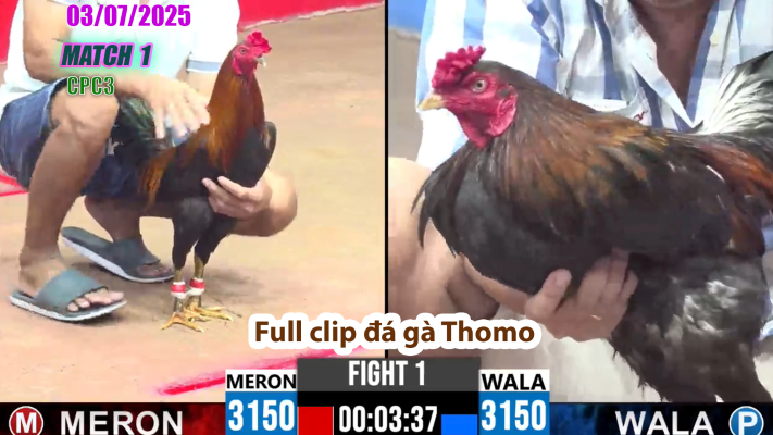 CPC3-TRẬN 1 | đá gà Thomo | 03/07/2025