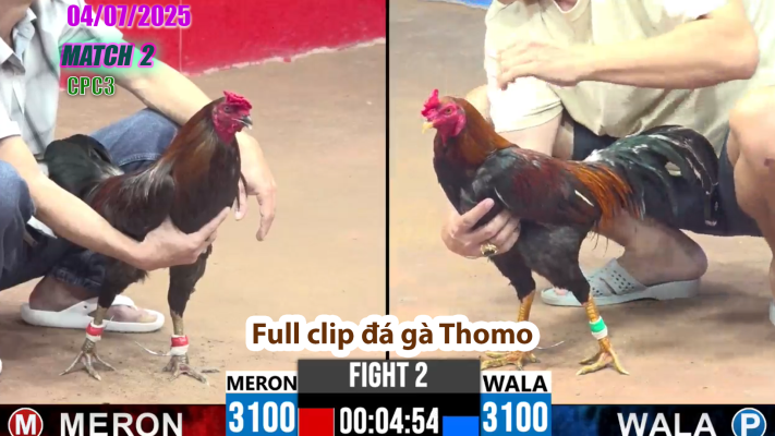 CPC3-TRẬN 2 | đá gà Thomo | 04/07/2025