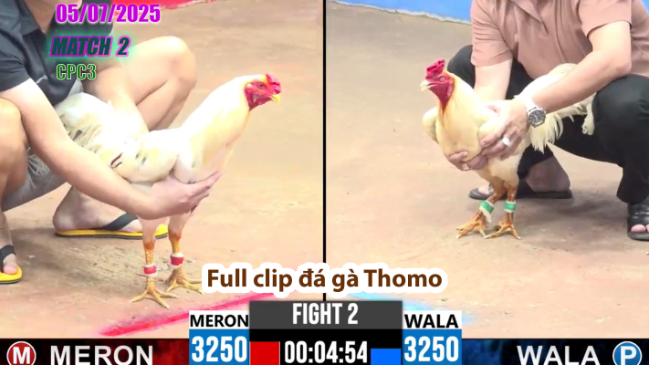 CPC3-TRẬN 2 | đá gà Thomo | 05/07/2025