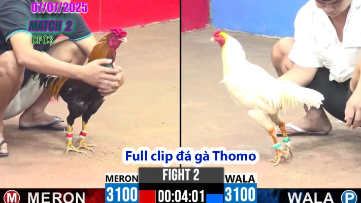 CPC3-TRẬN 2 | đá gà Thomo |07/07/2025