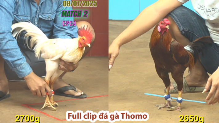 CPC4-TRẬN 2 | đá gà Thomo |08/07/2025