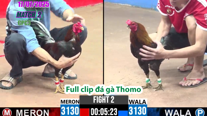 CPC3-TRẬN 2 | đá gà Thomo |17/07/2025