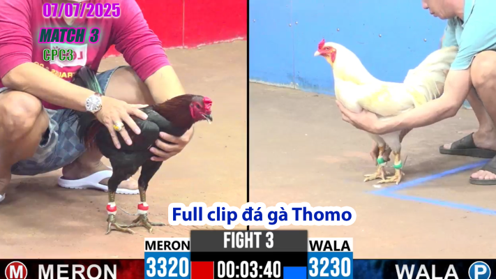 CPC3-TRẬN 3 | đá gà Thomo |07/07/2025