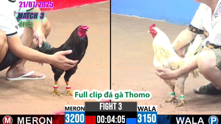 CPC3-TRẬN 3 | đá gà Thomo |21/07/2025