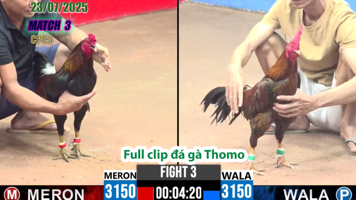 CPC3-TRẬN 3 | đá gà Thomo |23/07/2025