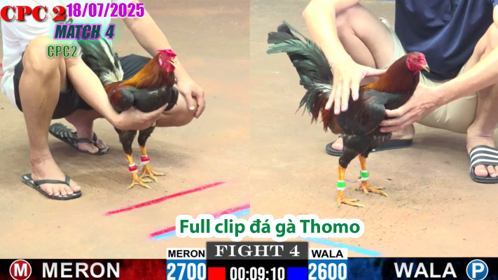 CPC2-TRẬN 4 | đá gà Thomo |18/07/2025