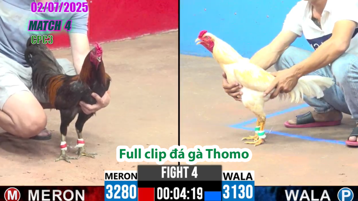 CPC3-TRẬN 4 | đá gà Thomo | 02/07/2025