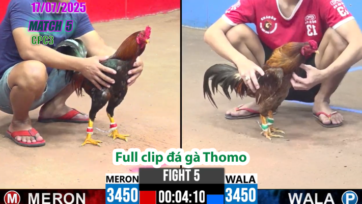 CPC3-TRẬN 5 | đá gà Thomo |17/07/2025