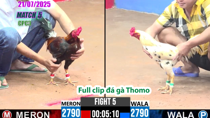 CPC3-TRẬN 5 | đá gà Thomo |21/07/2025