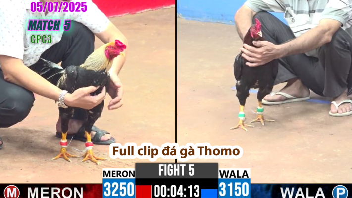 CPC3-TRẬN 5 | đá gà Thomo | 05/07/2025