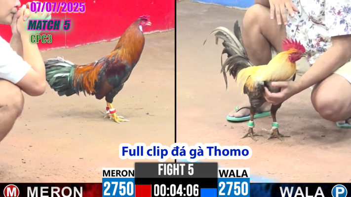 CPC3-TRẬN 5 | đá gà Thomo |07/07/2025