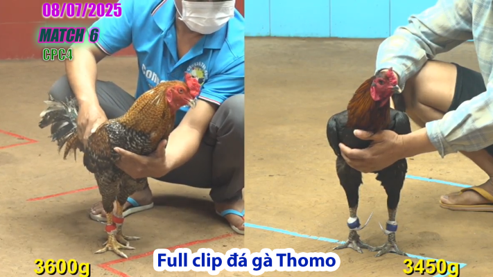 CPC4-TRẬN 6 | đá gà Thomo |08/07/2025