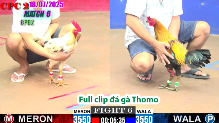 CPC2-TRẬN 6 | đá gà Thomo |18/07/2025