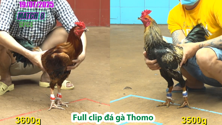 CPC4-TRẬN 8 | đá gà Thomo |18/07/2025