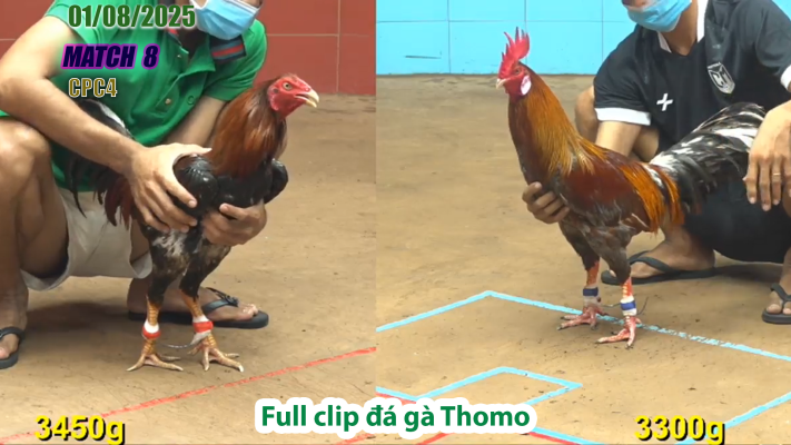 CPC4-TRẬN 8 | đá gà Thomo |01/08/2025